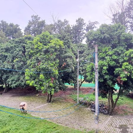 Nature View Homestay Dehradun Eksteriør billede